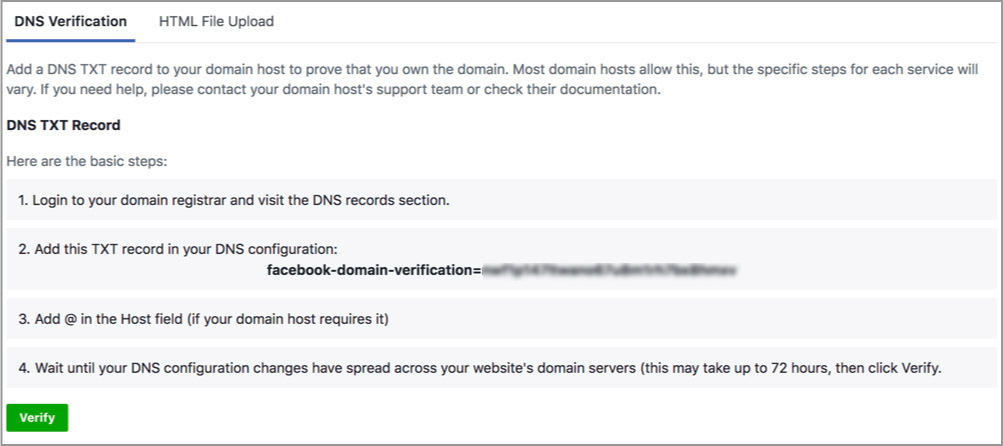 Domeno verefikacija DNS TXT įrašo pagalba