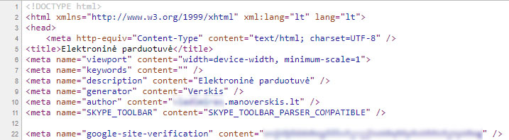 Meta tag patikrinimas per html šaltinį